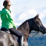 The Importance of “Fluid Motion when on Horseback